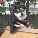 stuffs-i-like-and-love avatar