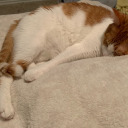 stuffskyesays avatar