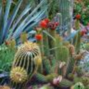 stumblebumbling avatar