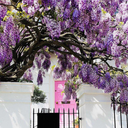 stunningdesign avatar