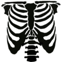 stupdsht-blog-blog avatar