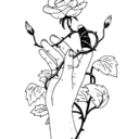 stupendousladyruins avatar