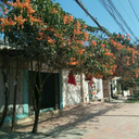 stupendousmuffinbakerypurse avatar