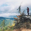 stupid-insomnia avatar