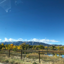 stupideverything avatar