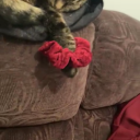 stupidhuman45 avatar