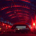 stupidiswhothestupiddoes avatar