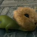 stupidkid-isemonow avatar