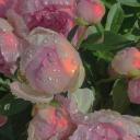 stupidkitty16 avatar