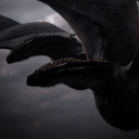 stupidlybookish avatar