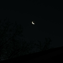 stupidlycupidlove avatar