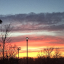 stupidlymyself avatar