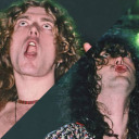 stupidpicturesofledzeppelin avatar