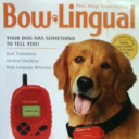 stupidshitivetakenpicturesof avatar