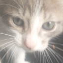 stupidthingsaremybreakfast-blog avatar