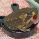 stupidthotsauce avatar