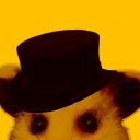 stupidumdpossum avatar