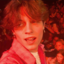 sturnililio02 avatar