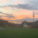 sturniolosbird avatar