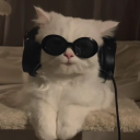 stvrrybvtchvs avatar