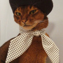 stvte-0f-mind avatar