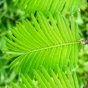 stworzonehistorie avatar