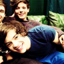 styles-fans-blog avatar