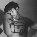 stylesinthewild avatar