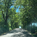 stylesofhoran avatar