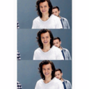 stylinsonhelplinehowmayihelpyou avatar