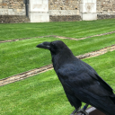 stylus-et-gladius avatar