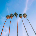 su-per-iro-nica avatar