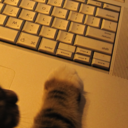 suavedemoncrowley avatar