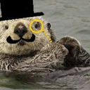 suaveotter avatar