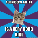 subbykitten avatar