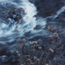 subconscious-hemorrhage avatar