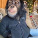 subconsciousgas avatar