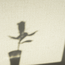 sublimation-tanakahitori avatar