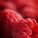 sublime-corrosif-blog avatar