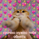 sublimecloudlightlamp avatar