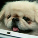 sublimecountry avatar