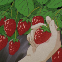 sublimeexpertstrawberry avatar