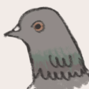 sublimepigeonmusic avatar