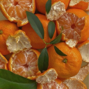 subliminal-singults avatar