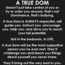 submissivenotstupid avatar