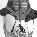 subprincessiris avatar