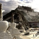 substeverogers avatar