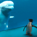 subtletynuance avatar