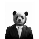 successfulpanda-blog avatar