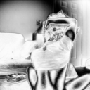 successinabag avatar